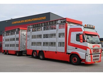 Volvo FH 500 6X2 - livestock truck