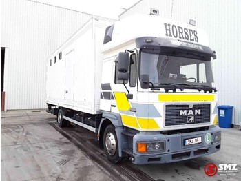 Livestock truck MAN 14.264 horses/chevaux: picture 1
