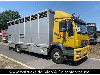 Livestock truck MAN 15.220 Menke Einstock: picture 1