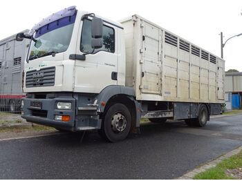 Livestock truck MAN 15.280 LL TGM  Menke Einstock: picture 1