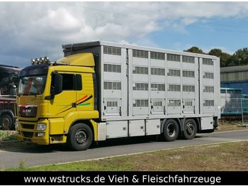 Livestock truck MAN 26.440 LX Menke 4 Stock Ladelift Hubdach: picture 1