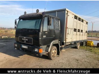 Livestock truck MAN 8.224 mit Einstock Aluaufbau: picture 1