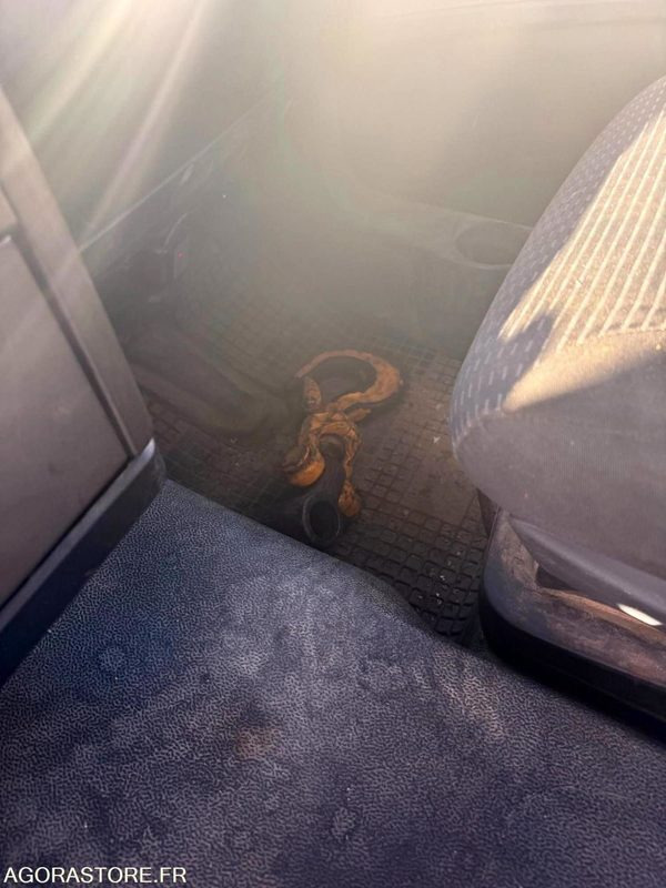 Truck MAN 8x4 - 32-400 BiBenne grue - 11.2014 / 375000 KM