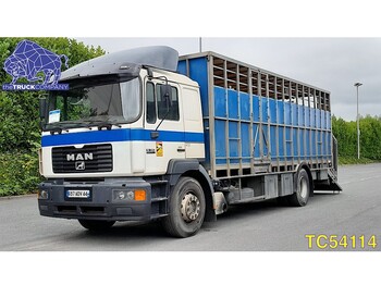 Livestock truck MAN F 2000 19.343 INTARDER: picture 1