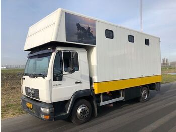 Horse truck MAN LE8-180: picture 1