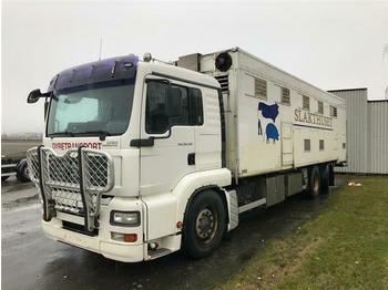 Livestock truck MAN TGA26.430 - SOON EXPECTED - 6X2 ANIMAL/TIER TRAN: picture 1