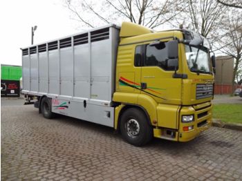 Livestock truck MAN TGA 18.440 L  Menke Einstock: picture 1