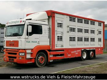 Livestock truck MAN TGA 26.350 Finkl Aufbau: picture 1