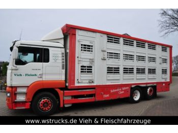 Livestock truck MAN TGA 26.350 Finkl Aufbau: picture 1