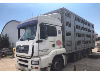 Livestock truck MAN TGA 39.440 SVINE TRANSPORT: picture 1