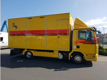 Horse truck MAN TGL 10.180 Euro 4  Pferdetransporter Horse: picture 3