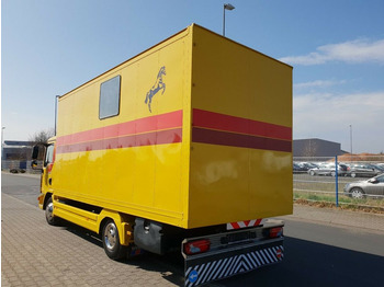 Horse truck MAN TGL 10.180 Euro 4  Pferdetransporter Horse: picture 5