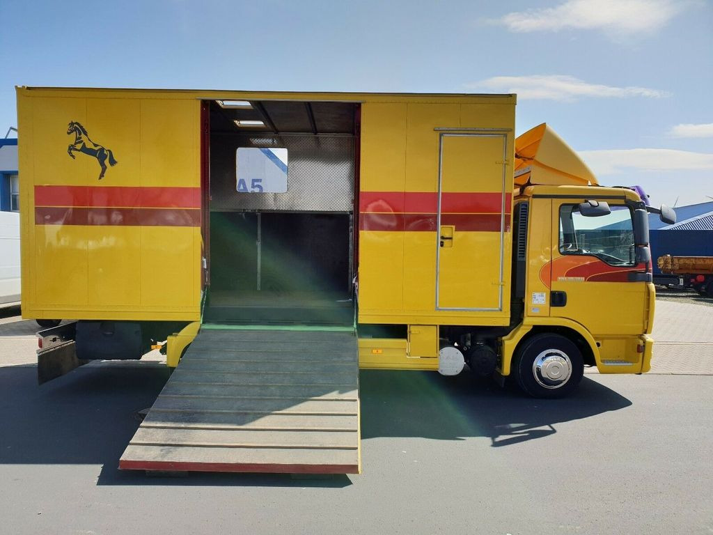 Horse truck MAN TGL 10.180 Euro 4  Pferdetransporter Horse: picture 11