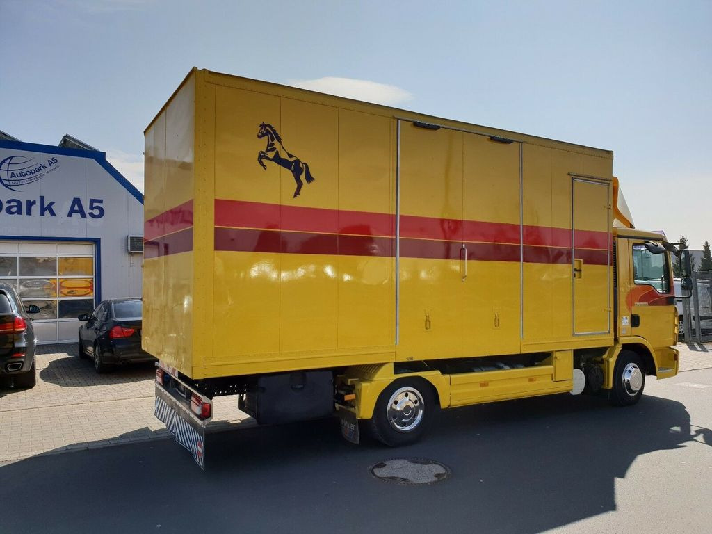 Horse truck MAN TGL 10.180 Euro 4  Pferdetransporter Horse: picture 4
