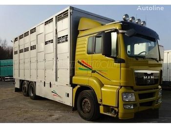 Livestock truck MAN TGX 26.440 6x2: picture 1