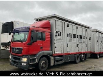 Livestock truck MAN TGX 26.440 LX Menke 3 Stock Hubdach: picture 1