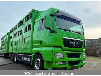 Livestock truck MAN TGX 26.480 XL KABA   3 Stock Vollalu: picture 1