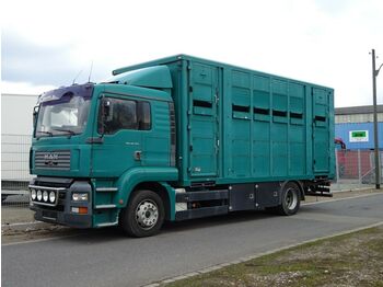 Livestock truck MAN TG-A 18.310 FG  / LL: picture 1