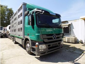 Livestock truck MERCEDES-BENZ Actros 2548 Élőállatszállító: picture 1