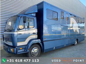 Horse truck Mercedes-Benz 1117 / Horse Truck / Camper / Manual / TUV: 1-2024 / Belgium Truck: picture 1