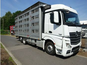 Livestock truck Mercedes-Benz 2542 KABA 4 Stock  Vollausstattung: picture 1
