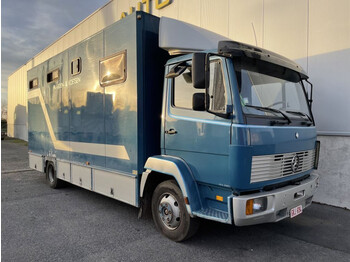 Horse truck Mercedes-Benz 817 R: picture 1