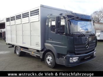 Livestock truck for transportation of animals Mercedes-Benz 821L" Neu" WST Edition" Menke Einstock Vollalu: picture 1