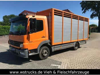 Livestock truck for transportation of animals Mercedes-Benz 822 L  mit Eckstein Einstock: picture 1