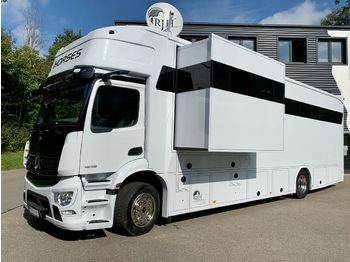 New Livestock truck Mercedes-Benz ACTROS 1835 Pferdetransporter RJH POP-OUT Exclus: picture 1