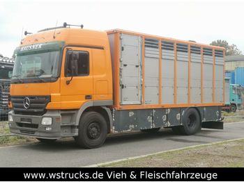Livestock truck Mercedes-Benz Actros 1841 L mit Menke Einstock aus 2013: picture 1