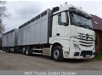 Livestock truck Mercedes-Benz Actros 2545 L BDF Menke Einstock "Neu" Mehrfach: picture 4