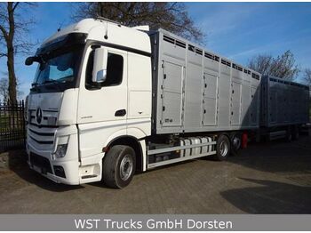 Livestock truck Mercedes-Benz Actros 2545 L BDF Menke Einstock "Neu" Mehrfach: picture 1