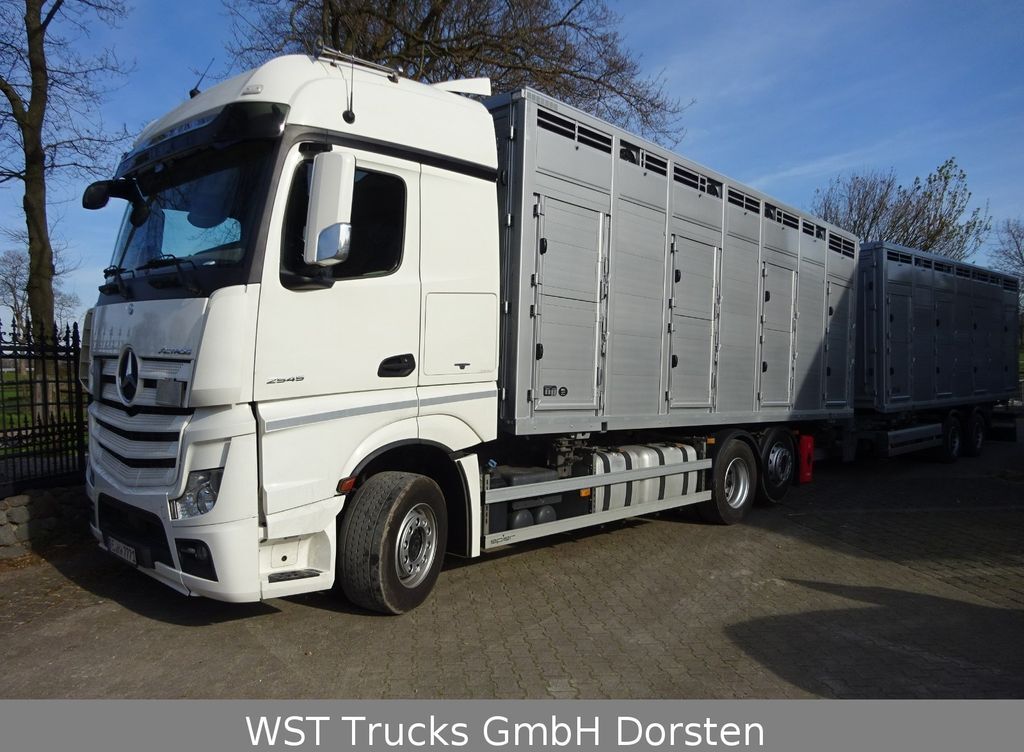 Livestock truck Mercedes-Benz Actros 2545 L BDF Menke Einstock "Neu" Mehrfach: picture 8