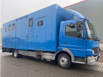 Livestock truck Mercedes-Benz Atego 5-6 Pferdetransporter, EURO 5 Horses / Pferde / Chevaux / Paarden: picture 1
