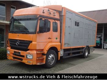 Livestock truck Mercedes-Benz  Axor 1833 2 Stock Michieletto: picture 1