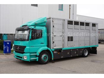 Livestock truck Mercedes-Benz Axor 1833 LL 4x2 MENKE 2-Stock Klima TOP Viehtra: picture 1