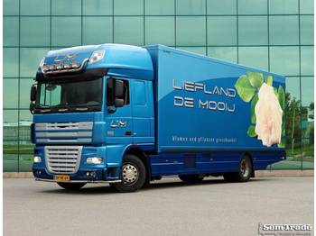 Refrigerator truck DAF FA XF 105.410 SSC EURO 5 EEV FRIGO BOX