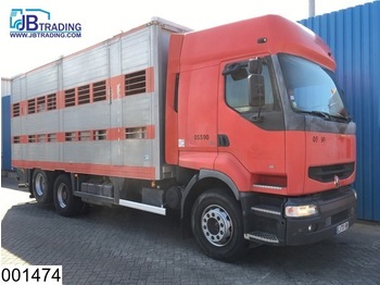 Livestock truck Renault Premium 385 6X2, 2 layers Animal transport, Roof height adjustable, Manual, Telma Retarder, Hub reduction: picture 1