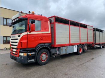 Livestock truck SCANIA R500 +FULL AIR: picture 1