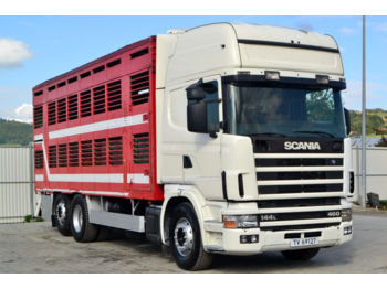 Livestock truck Scania 144 460 Tiertransportwagen 7,20 m Top Zustand: picture 1
