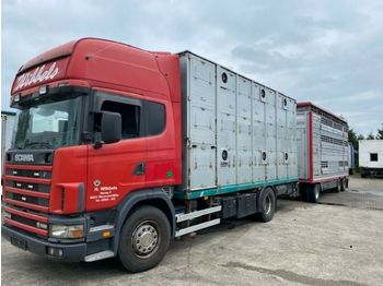 Livestock truck Scania 164/580  Topline 2 Stock V8 Pezzaioli Anhänger: picture 1