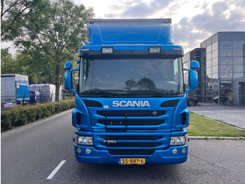 Box truck Scania P250 4X2 EURO 6 - 20 TON - BOX 7,75 METER + DHOL: picture 2
