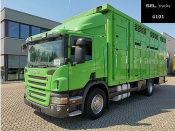 Livestock truck Scania P380DB4X2MNA / 2 Stock: picture 1
