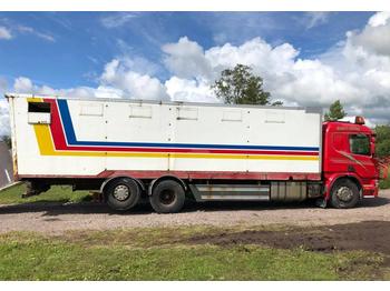 Autotransporter truck Scania P 114: picture 1