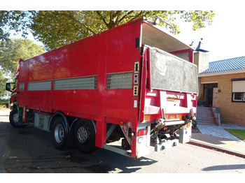 Horse truck Scania P 124G 6x2*4: picture 4
