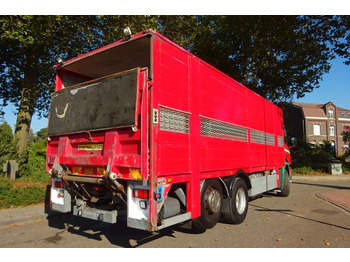 Horse truck Scania P 124G 6x2*4: picture 2