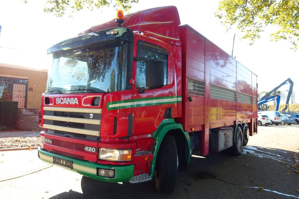 Horse truck Scania P 124G 6x2*4: picture 3