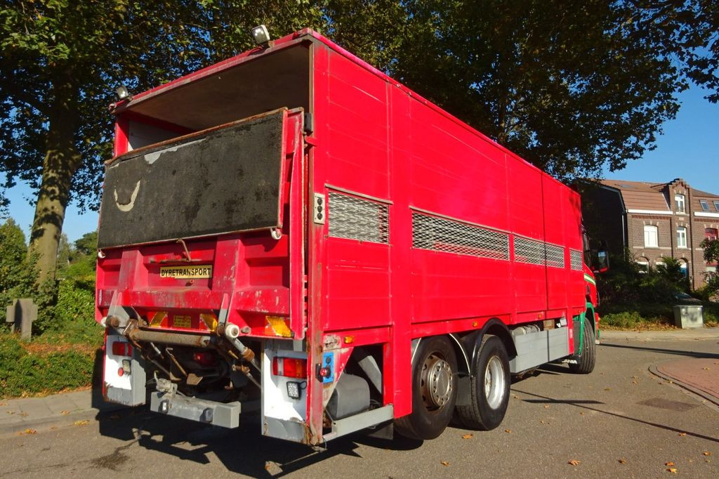 Livestock truck Scania P 124G 6x2*4: picture 2
