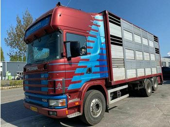 Livestock truck Scania R 144G-530 V8 6X2 MANUAL FULL STEEL: picture 1