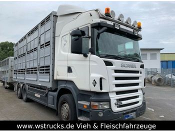 Livestock truck Scania R 440 Highline  3 Stock Pezzaioli: picture 1